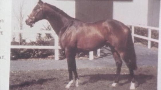 Shergar
