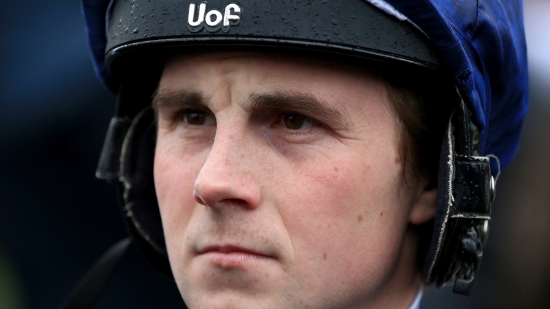 The panel found that Brock deliberately stopped horse