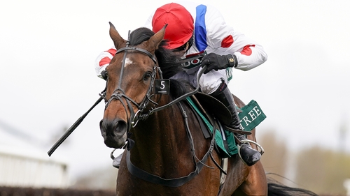 Protektorat is a Gold Cup entry