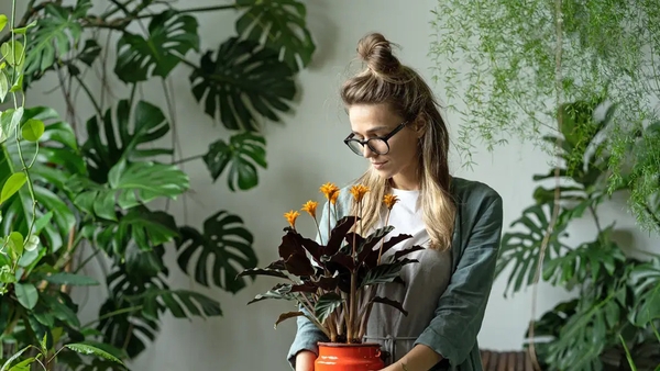 Experts offer their favourites. By Hannah Stephenson.
