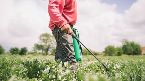 Critics and environmental organisations have claimed that glyphosate is carcinogenic and destructive of biodiversity (file pic)