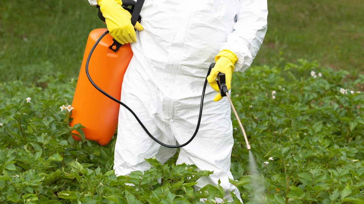 Dr Dara Stanley on pesticide use