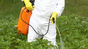 Dr Dara Stanley on pesticide use show image