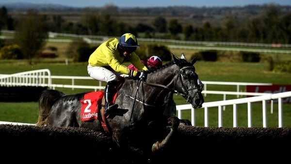 Espanito Bello's last two starts have come over hurdles