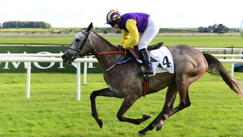 Princess Zoe made her first start over hurdles at the age of eight this afternoon