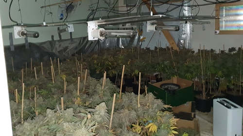 Gardaí discovered the drugs during a search in Ballaghaderreen in Co Roscommon