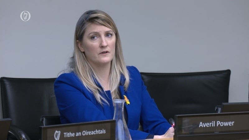 Averil Power told the committee that patients are not being given the best chance of surviving cancer due to long wait times and overcrowding