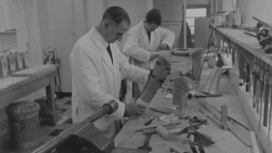 Dún Laoghaire Rehabilitation Centre (1963)