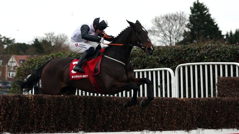 Gerri Colombe is favourite for the Brown Advisory Novices' Chase at Cheltenham