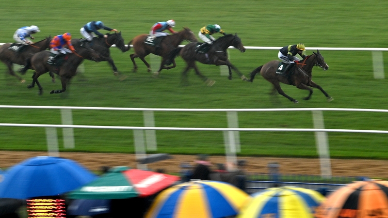 Final Orders leads his rivals home