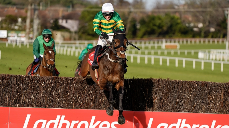 Gentleman De Mee leads stablemate Blue Lord over the last