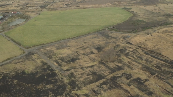 Bogland near Tuam in Co Galway