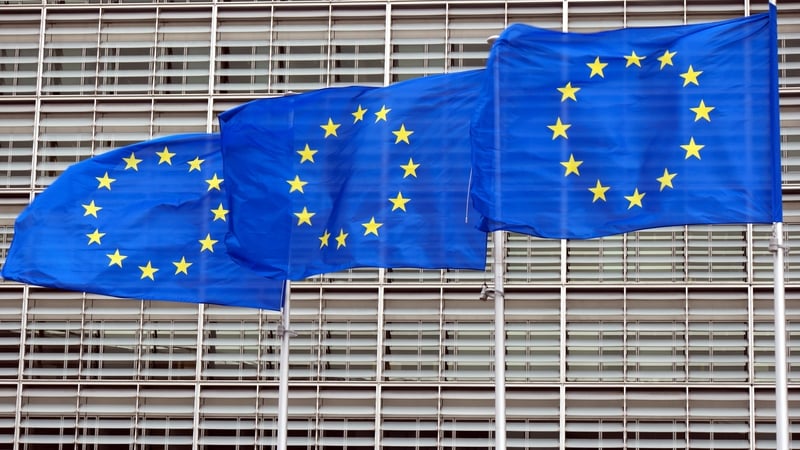 Mario Draghi said the proposals outlined in his report would require minimum annual additional investment of €750-800 billion a year