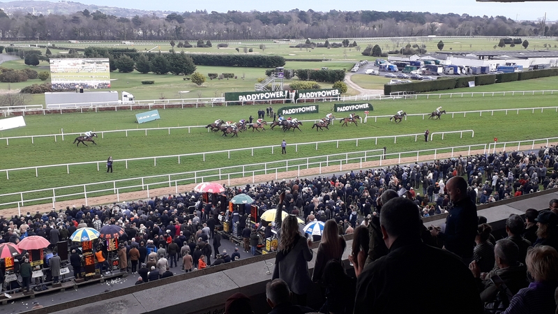 The crowd watching the end of the Race And Stay At Leopardstown Handicap Hurdle, won by Perceval Legallois