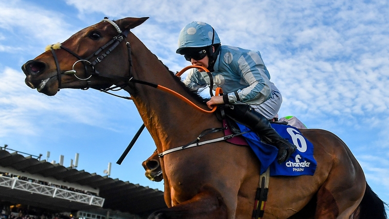 Honeysuckle, with Rachael Blackmore up, finished second in the Irish Champion Hurdle at the Dublin Racing Festival