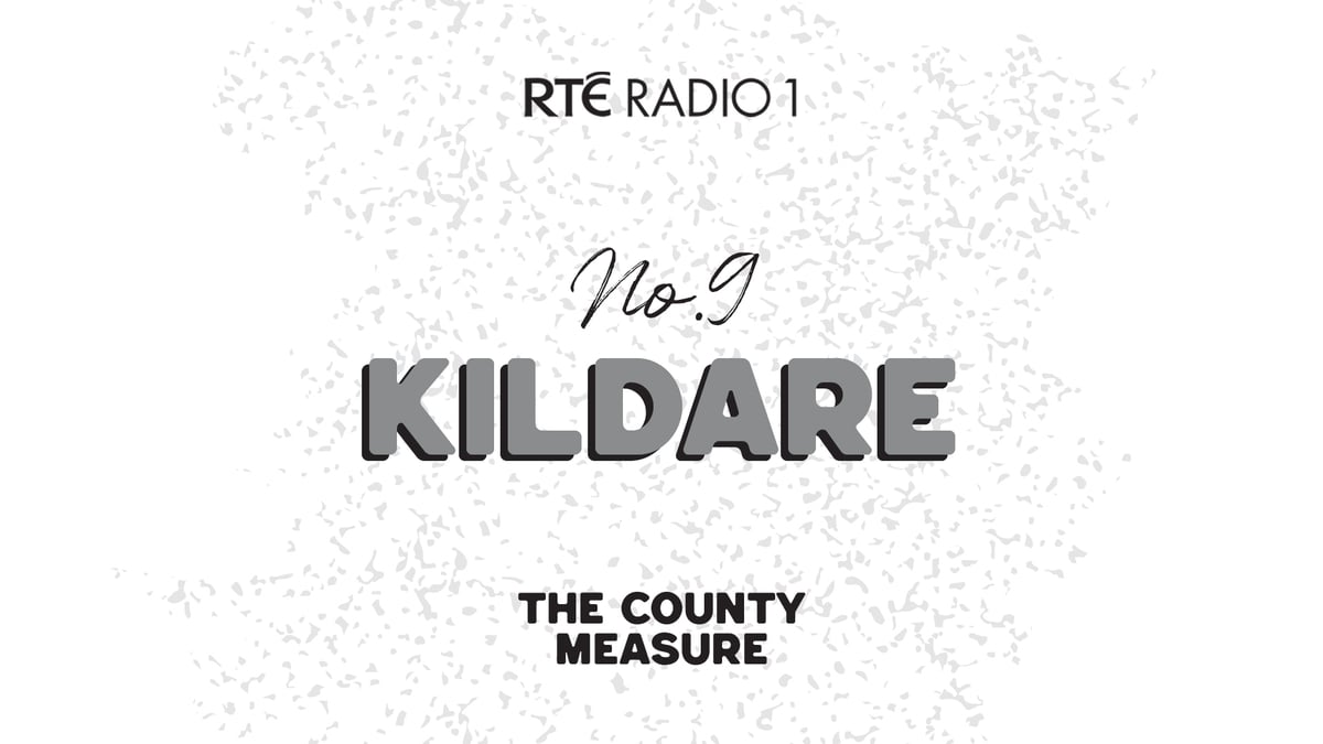 The County Measure - Kildare