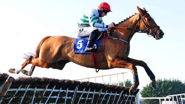 Gordon Elliott has been fined by the BHA after Zanahiyr tested positive at last year's Cheltenham Festival