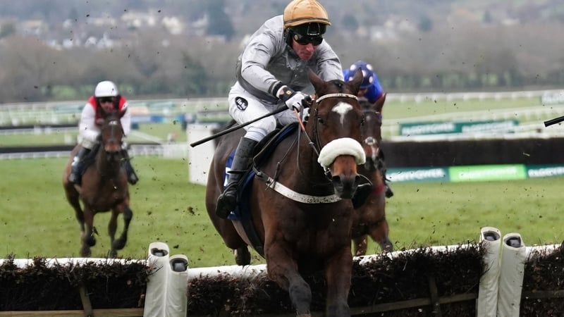 Gold Tweet's win in the Cleeve Hurdle came in his first race over three miles