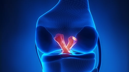 All four ligaments in the knee can be stretched, twisted, strained or torn