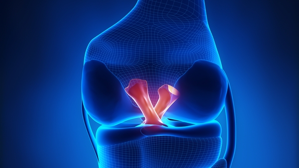 All four ligaments in the knee can be stretched, twisted, strained or torn