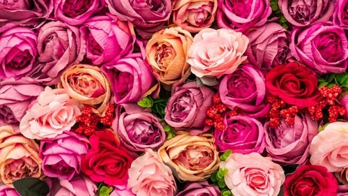 'How many roses does it take to genuinely reflect the appropriate level of devotion?' Photo: Nick Fewings/Unsplash