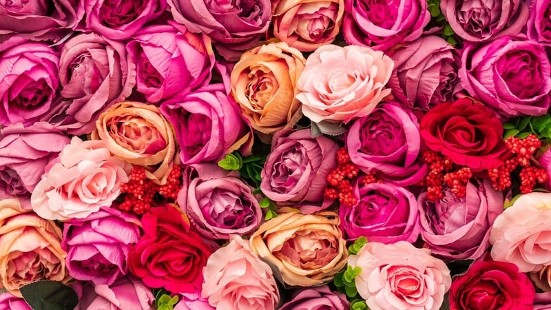 'How many roses does it take to genuinely reflect the appropriate level of devotion?' Photo: Nick Fewings/Unsplash