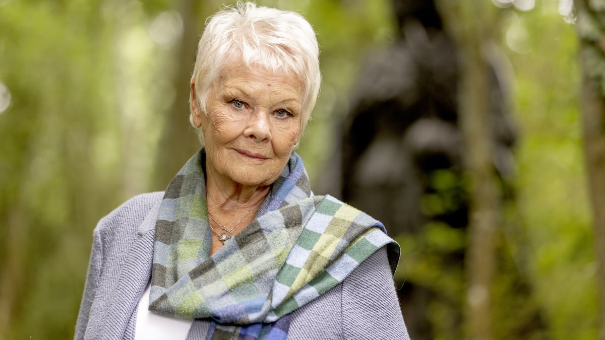 Movie News | Judi Dench and The Shrouds