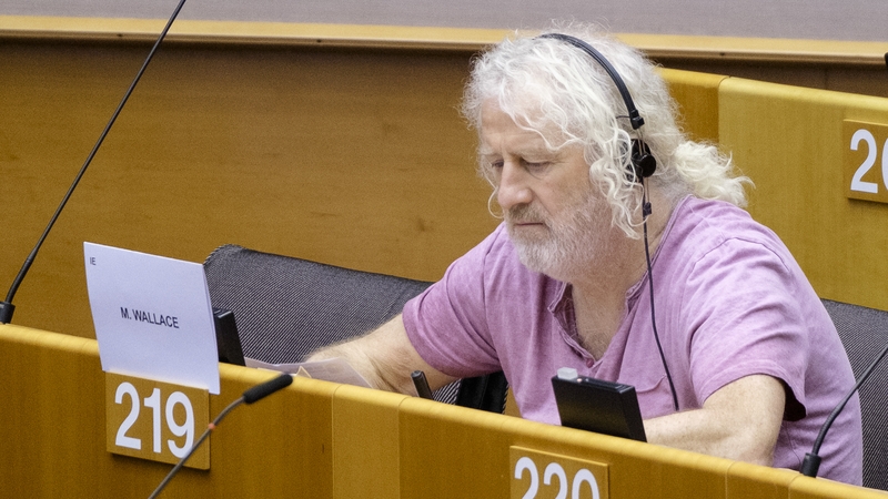 Mick Wallace pictured at a session of the European Parliament in 2020