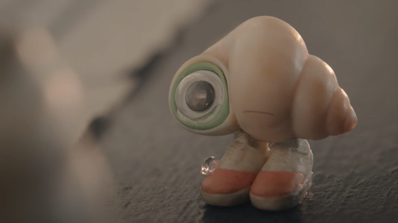 Meet Marcel The Shell...