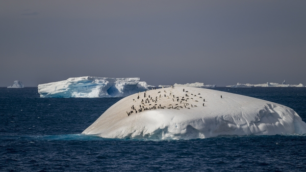 Melting sea ice has no discernible impact on sea levels because the ice is already in ocean water