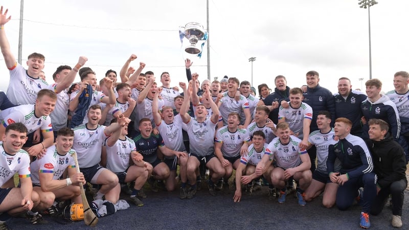 UL players celebrate their Fitzgibbon Cup success