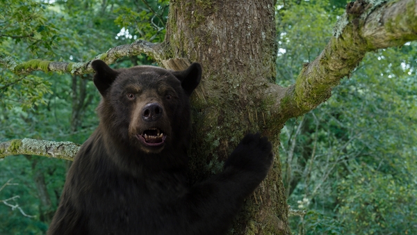 Cocaine Bear - a celebration of gleeful bad taste