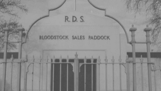 RDS Bloodstock Sales (1973)