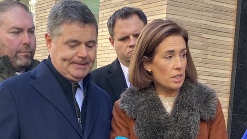 Hildegarde Naughton was speaking at a Fine Gael event in Dublin this morning