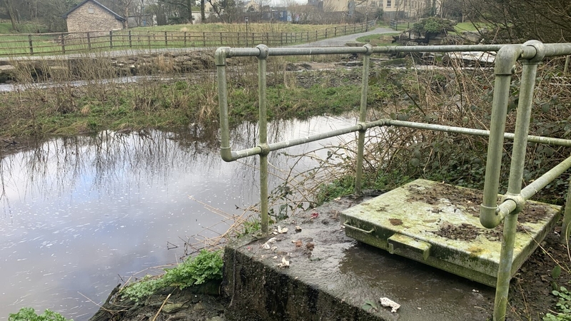 Séarachas in Abhainn Eidhneach, Co an Chláir