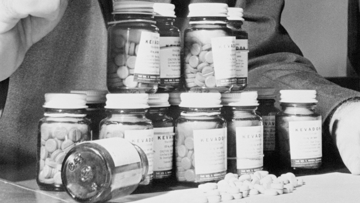 The Government And Thalidomide 