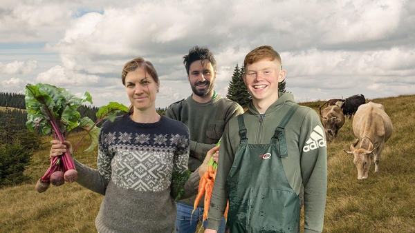 Farming Folk: Saol na Feirme