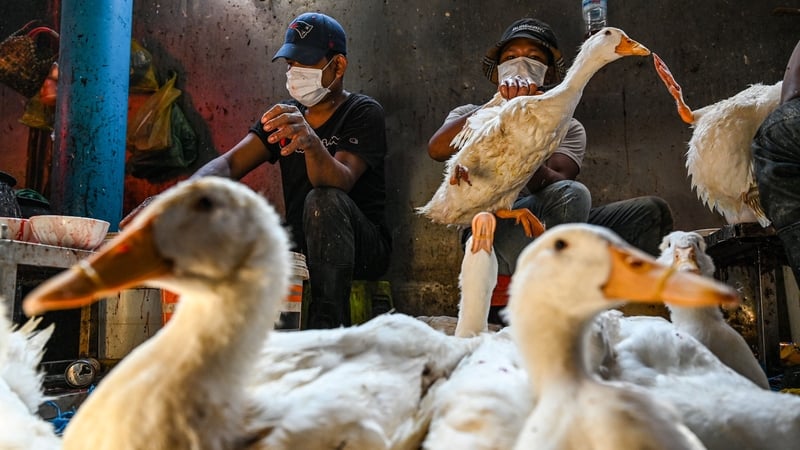 Workers prepare ducks at a market in the Cambodian capital Phnom Penh