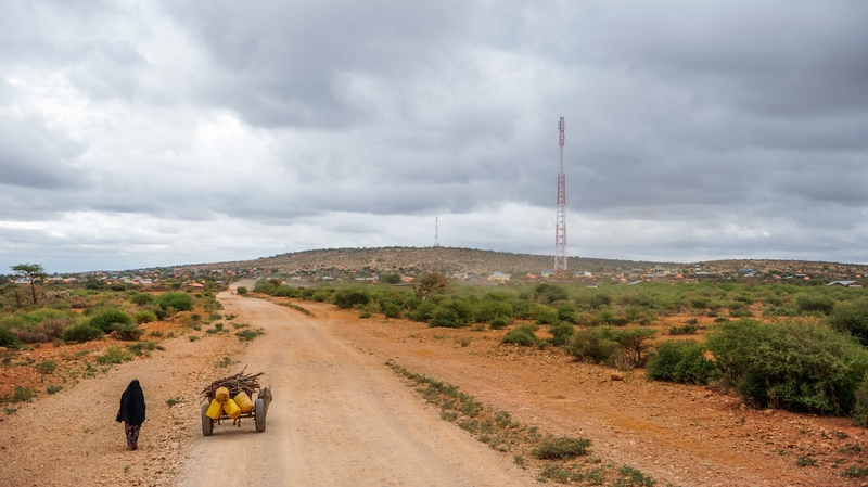 The impact is being felt in particular by lower-income workers (file image)