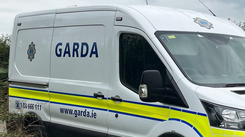 Gardaí arrested the man a short distance from the property (Pic: RollingNews.ie)