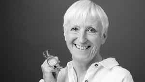 A Flash of Pink, by Felicity Hayes-McCoy show image