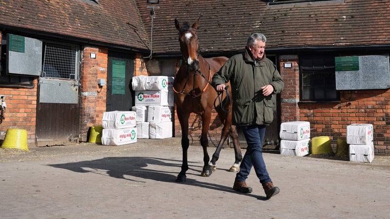 Paul Nicholls parades Hermes Allen in front of the media at his yard in Ditcheat
