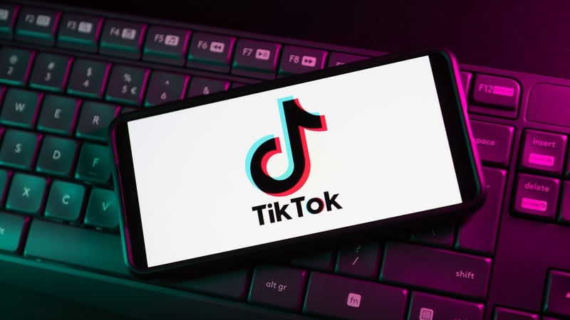 TikTok said the bans were 'misguided and based on fundamental misconceptions'