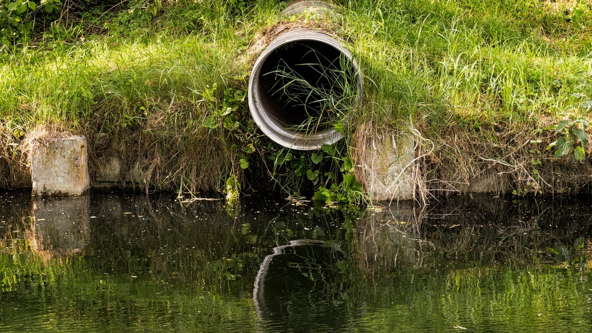 Raw sewage discharges into environment halved since last year, says EPA