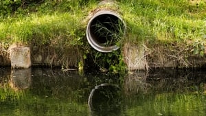 Raw sewage discharges into environment halved since last year, says EPA show image