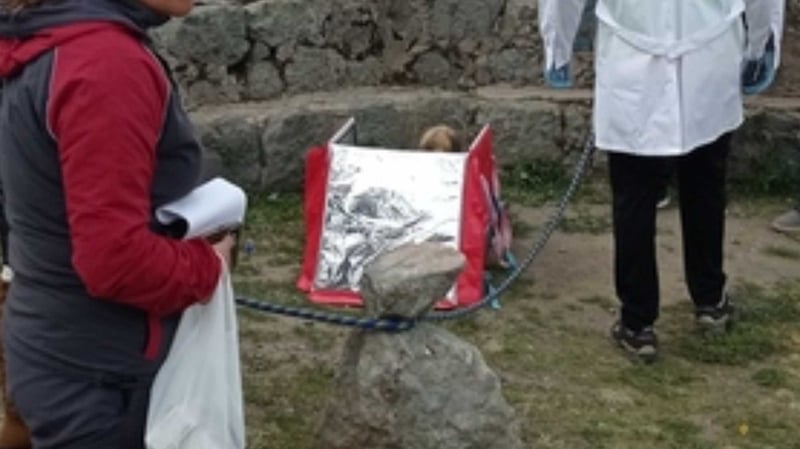 The mummy was in the isothermal bag the man had once used to deliver food to people's homes (Photo credit: Peru's Ministry of Culture)