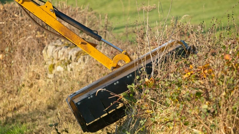 There are a rang of wildlife crimes such as hedgerow cutting out of season