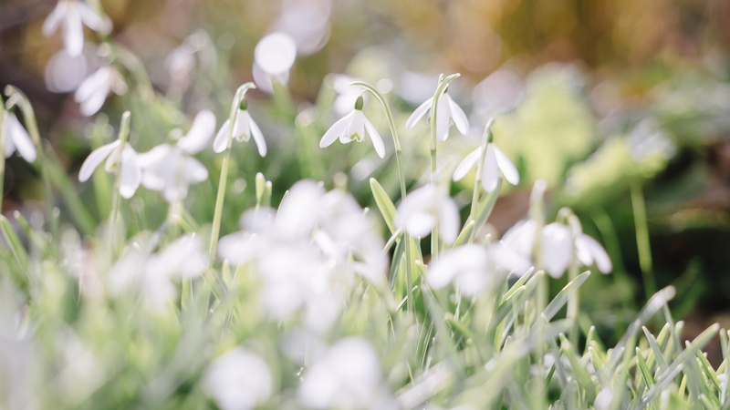 The south and east of the country saw the driest conditions