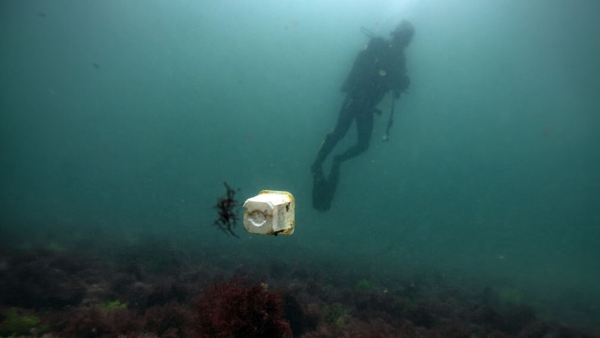 A plastic cup floats in the Sea of Marmara (file image)