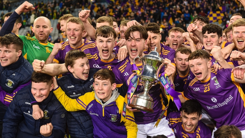 Kilmacud Crokes celebrate their All-Ireland triumph